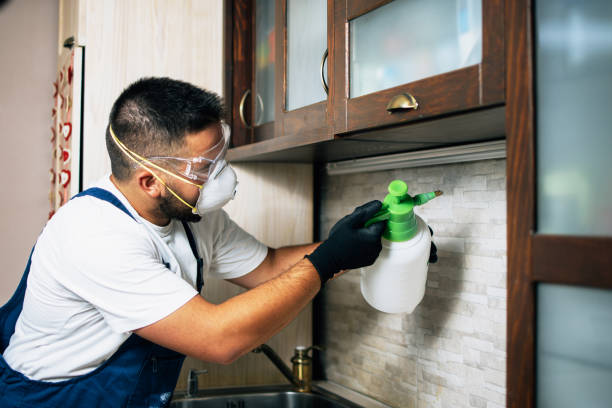 Best Flea Control Services  in Geneva, WA