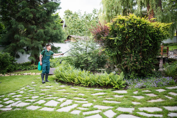 Flea Control Services in Geneva, WA