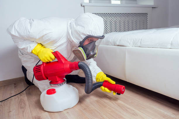 Best Rat Extermination Near Me  in Geneva, WA