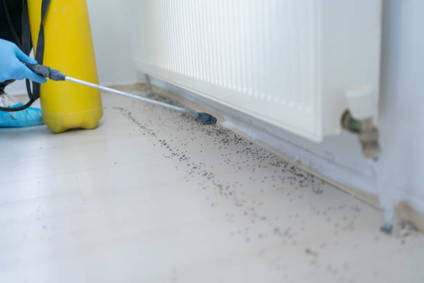 Best Pest Removal Services  in Geneva, WA