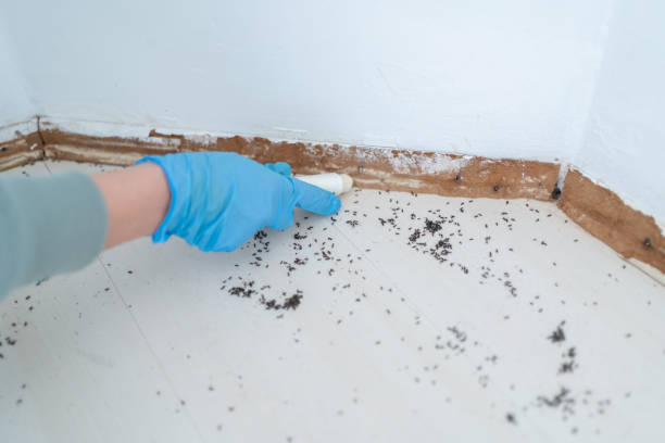 Best Exterminator Services  in Geneva, WA