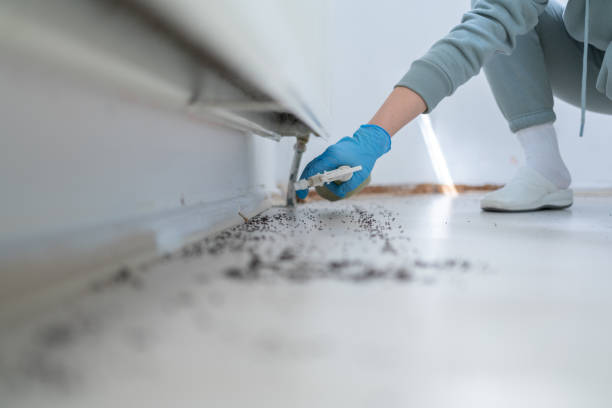 Best Affordable Pest Control Services  in Geneva, WA