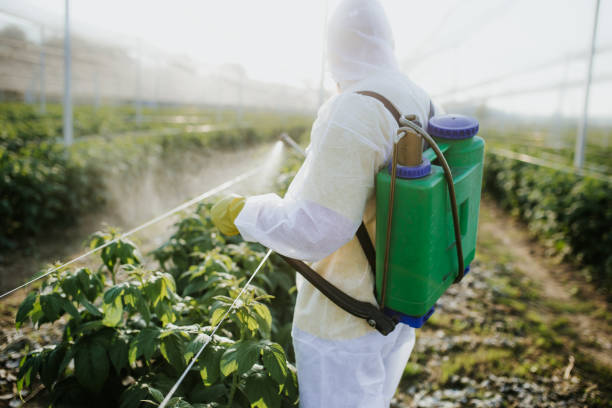 Trusted Geneva, WA Pest Control Experts